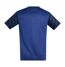 Camiseta técnica IRON